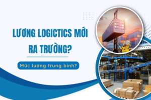 Lương Logistics mới ra trường