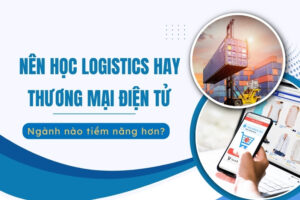 nên học logistics hay thương mại điện tử