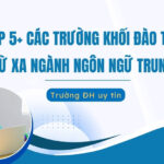 Các trường đào tạo từ xa ngành Ngôn ngữ Trung