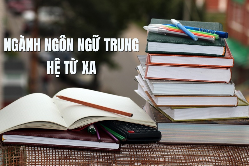Ngành ngôn ngữ Trung hệ từ xa