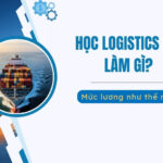 học logistics ra làm gì