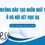 trường đào tạo Ngôn ngữ Trung ở Hà Nội xét học bạ