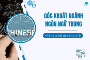 góc khuất ngành ngôn ngữ trung