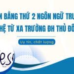 văn bằng thứ 2 ngôn ngữ Trung từ xa