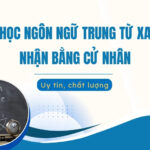 Học ngôn ngữ trung từ xa nhận bằng cử nhân
