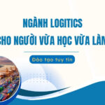 ngành logistics cho người vừa học vừa làm